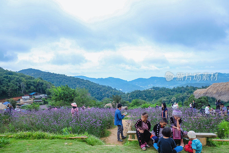 泰国清迈市mon jam山花卉花园陌生游客。